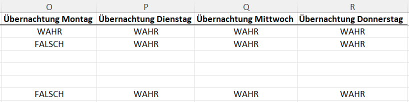 ImportUsers_OvernightStays_Excel-de.png