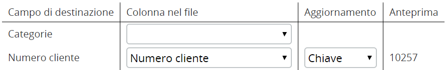 customerimport-fieldmapping-key-it.png