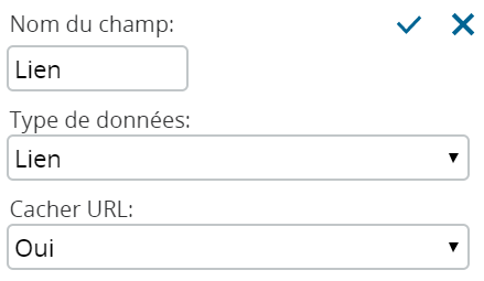 Options_CustomFields_Link-fr.png
