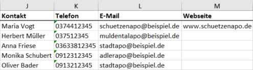 CustomerImport_Simplified_Excel-OnlyContactData-de.png