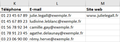 CustomerImport_Simplified_Excel-OnlyContactData-fr.png